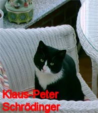 Klausi