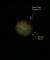 Impact of comet Shoemaker-Levy 9 on Jupiter in July 1994
